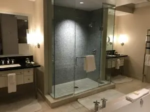The Cosmopolitan Huge Shower