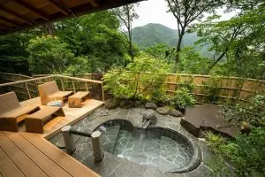 Best luxury Ryokans in Japan - Gora Kadan