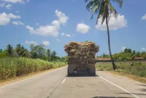 getting around rural cebu