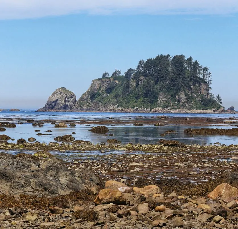 Cape Alava Trail