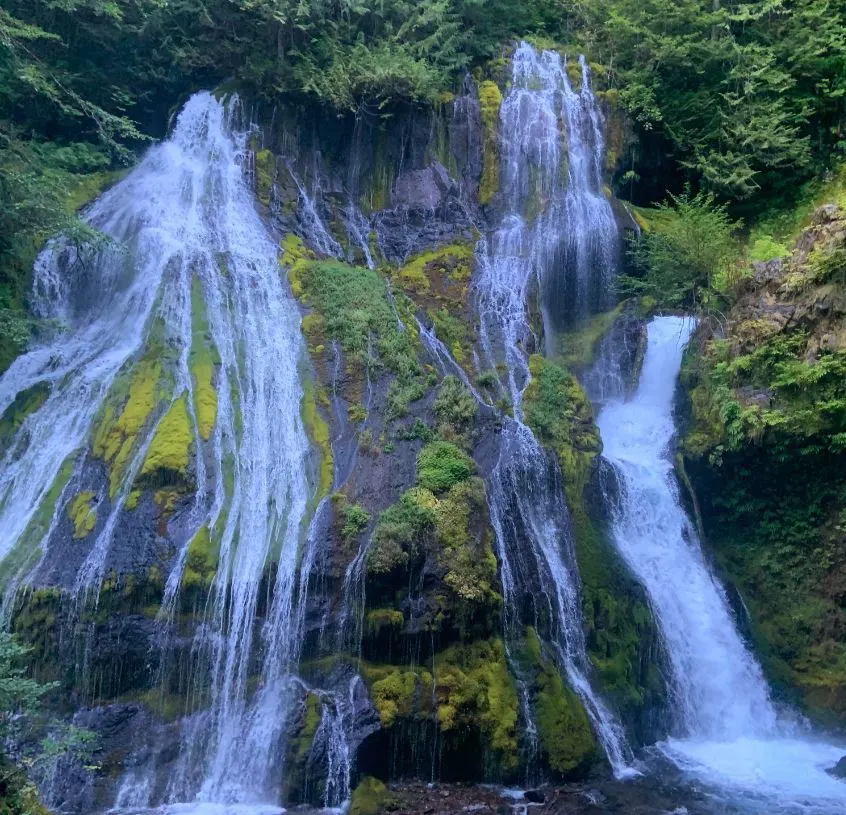 Panther Creek Falls Trail 137