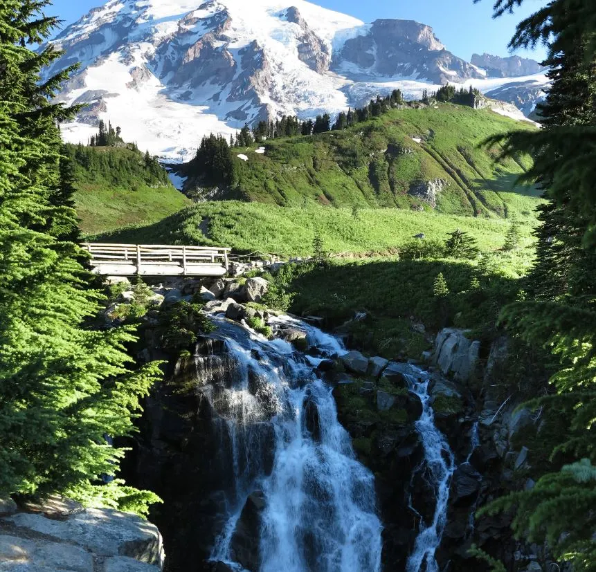 Myrtle Falls Viewpoint (Skyline Trail)