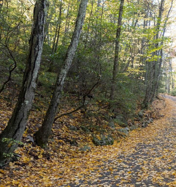 Bear Spring Mountain Loop Trail, New York – OQDBRI