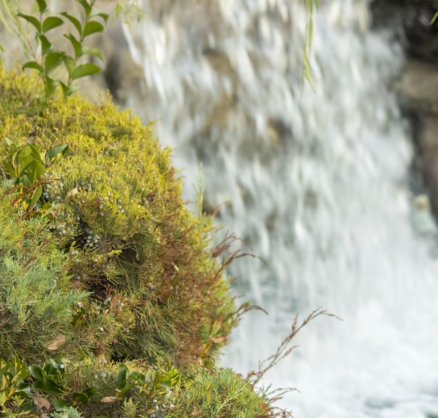 Overall Run Falls
