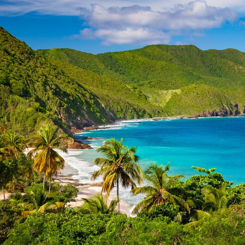 panoramic view of Carambola Beach, St.Croix, US Virgin Islands
