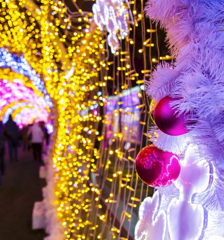 Holiday Lights At The Bronx Zoo