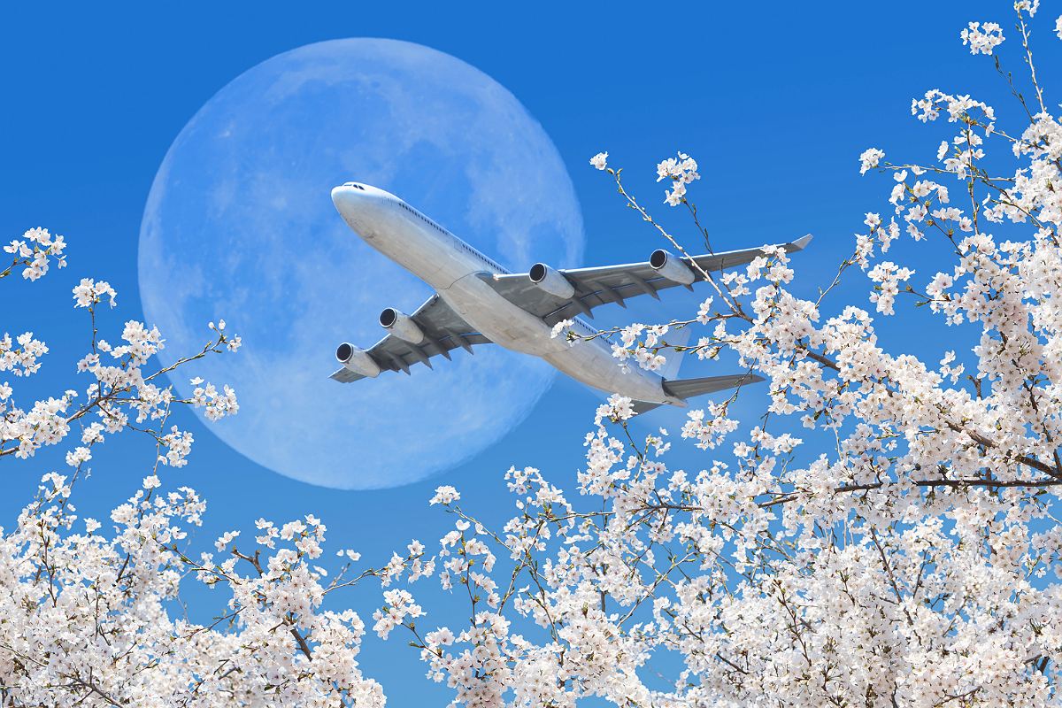 New​ Airline Plans Low Cost Flights From U.S. To Asia With Crypto Rewards -  Travel Off Path