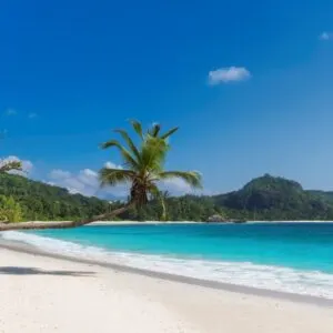 Sunny Tropical Beach With Turquoise Water In Jamaica