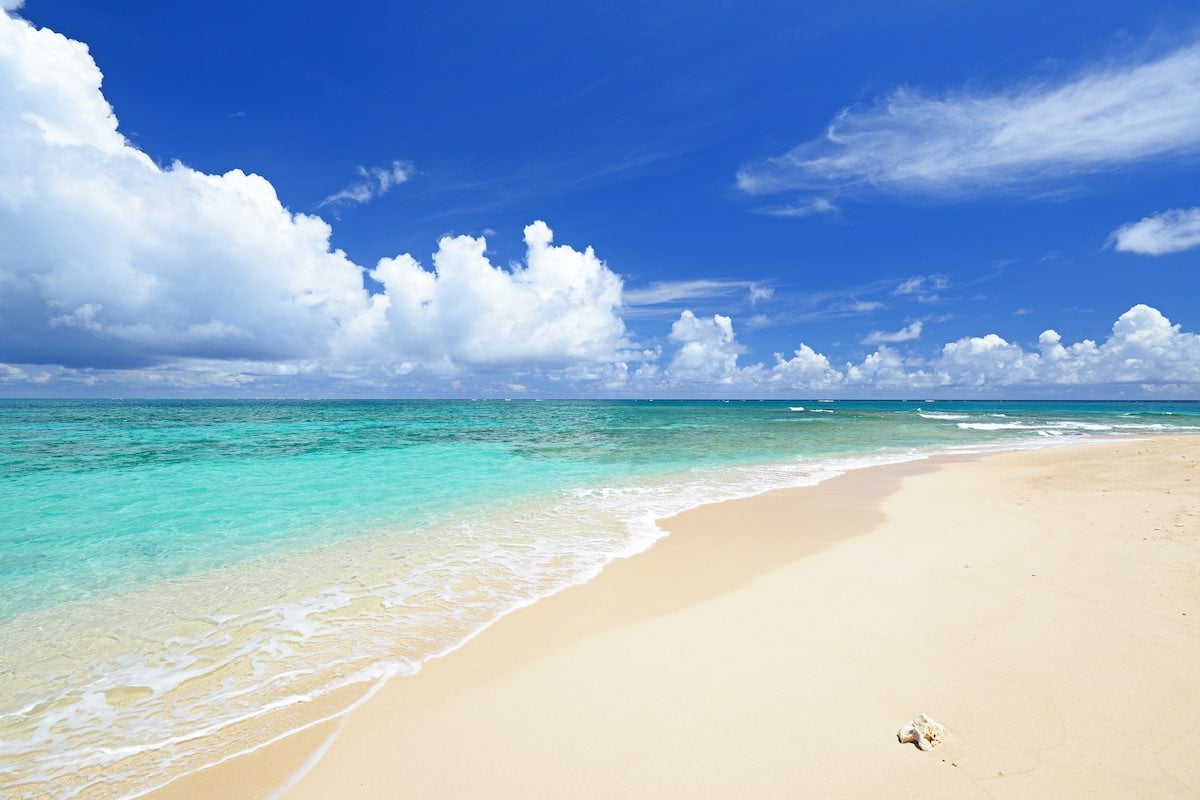 Cancun Beaches Are Safe, Clean And Ready For Tourists Cancun Beaches Are Safe, Clean And Ready For Tourists
