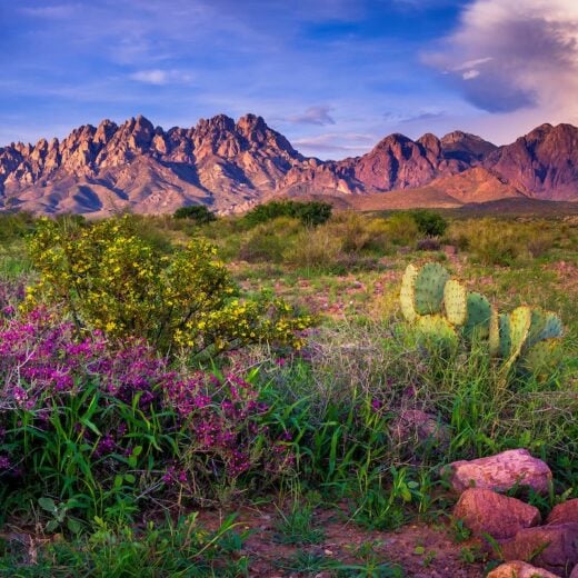 Organ,Mountains,,Las,Cruces,,New,Mexico Travel Off Path