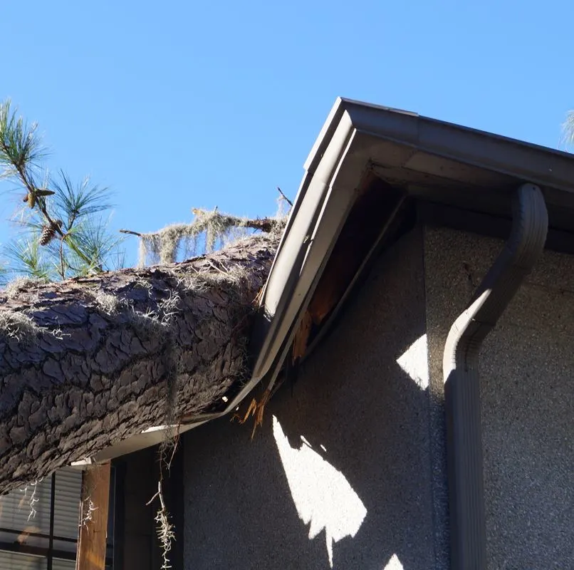 Tree that has fallen on Airbnb house causing damage