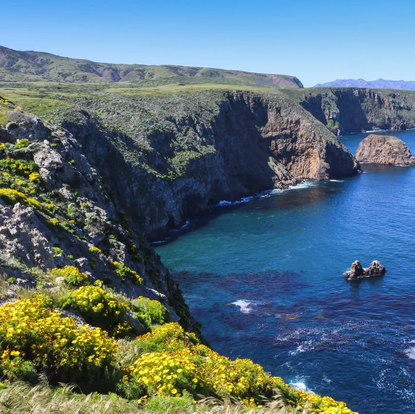 Channel Islands National Park
