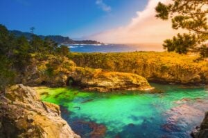 point lobos carmel