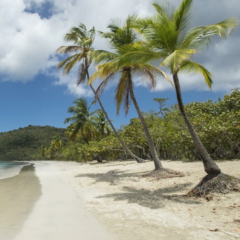 The amazing Magens bay beach in St. Thomas US virgin islands in the Caribbean sea