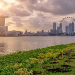 Singapore skyline with green space in foreground