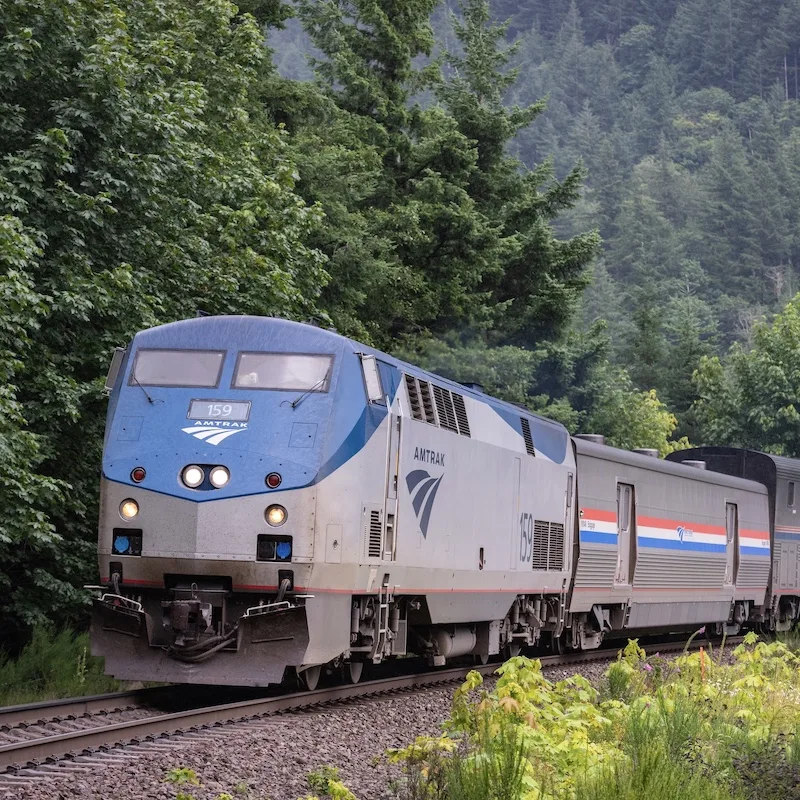 amtrak train forest