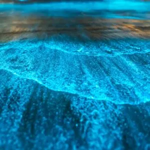 Bioluminescent Bay Water