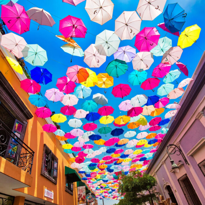 Guadalajara Umbrellas Travel Off Path
