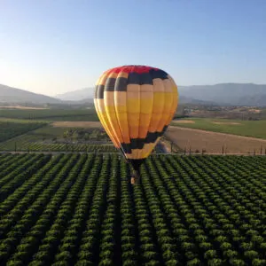 Hot Air Balloon Hovering Over Vineyards In Temecula Valley, Southern California, United States