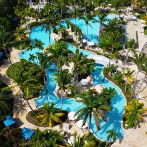 a lazy river pool looks inviting surrounded by palm trees