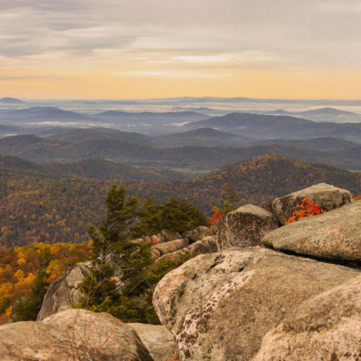 Old Rag Mountain - Travel Off Path
