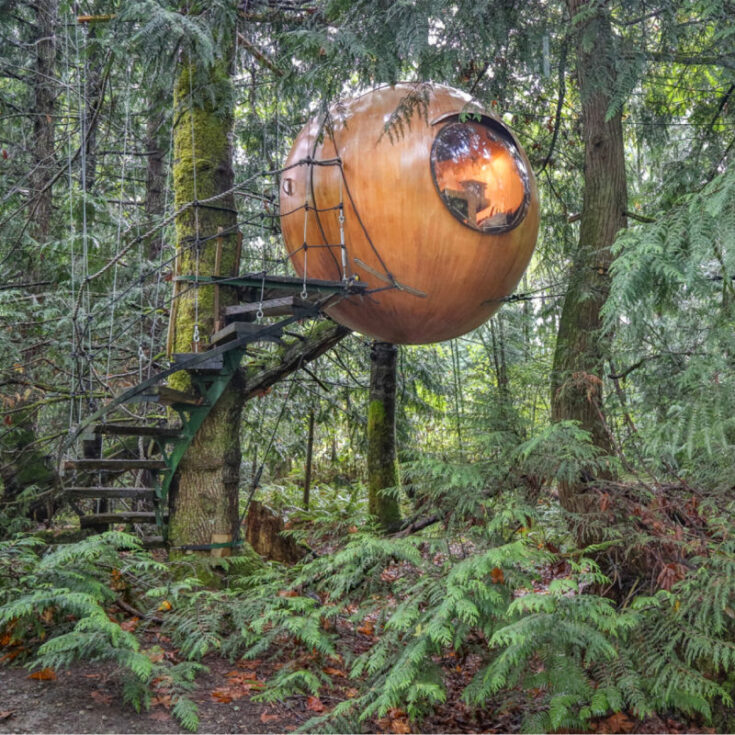 A New Unique Treehouse Resort Is Coming to the U.S. - Travel Off Path