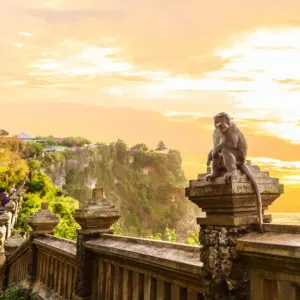 Monkey Pictured At Uluwatu Temple In Kuta, Bali, During Sunset Or Sunrise, Southeast Asia