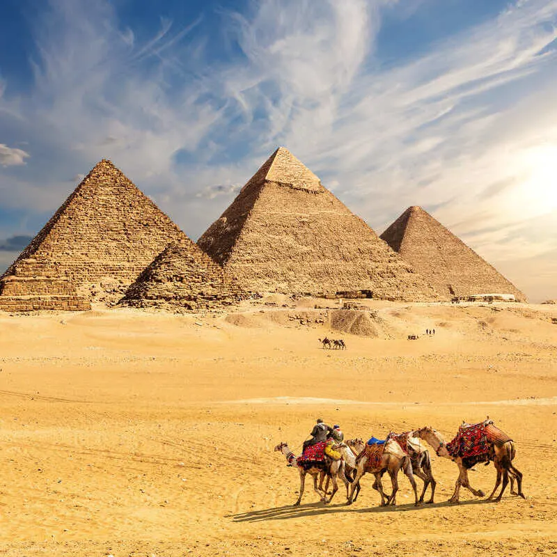 Camels Crossing A Desert Landscape With The Pyramids Of Giza In The Background, Egypt, North Africa