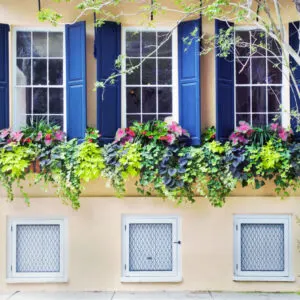 The street front of an old town house built in the seventeen hundreds in Charleston, South Carolina.
