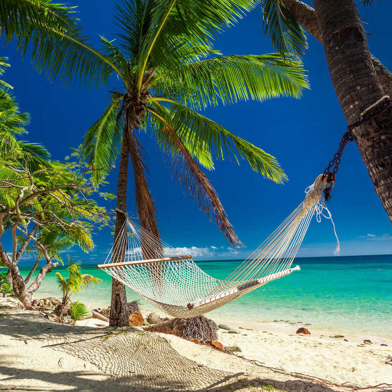 A Hammock Between Palm Trees On A Sandy Beach, Caribbean Location