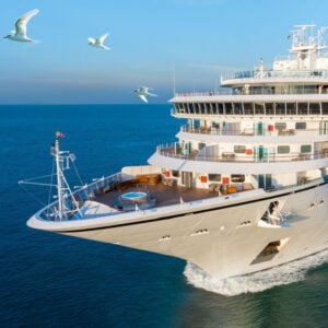 Birds fly above a large cruise ship in the ocean