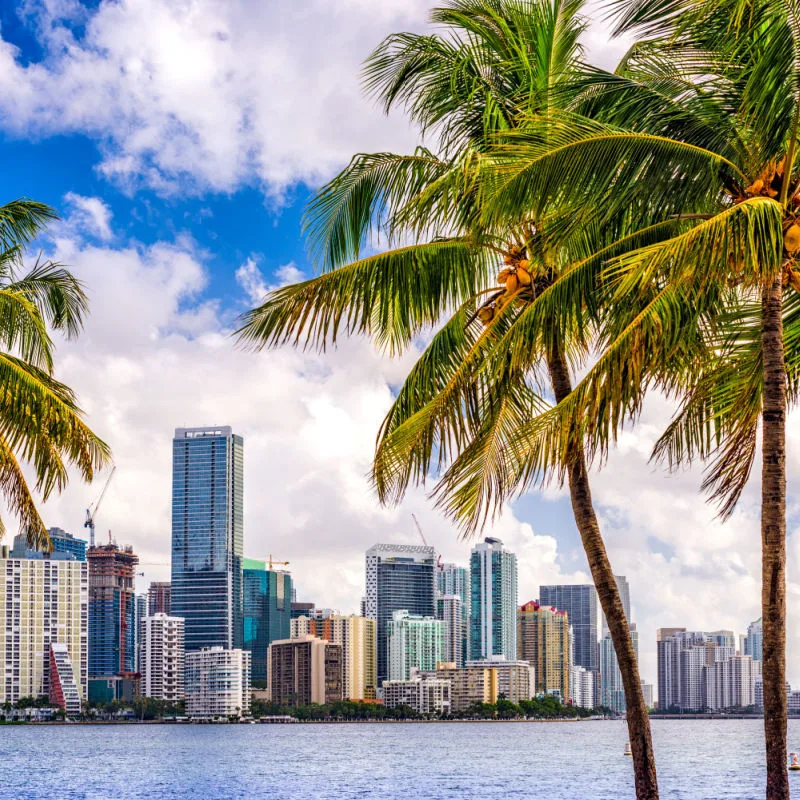 Skyscrapers of Miami as seen from across the water