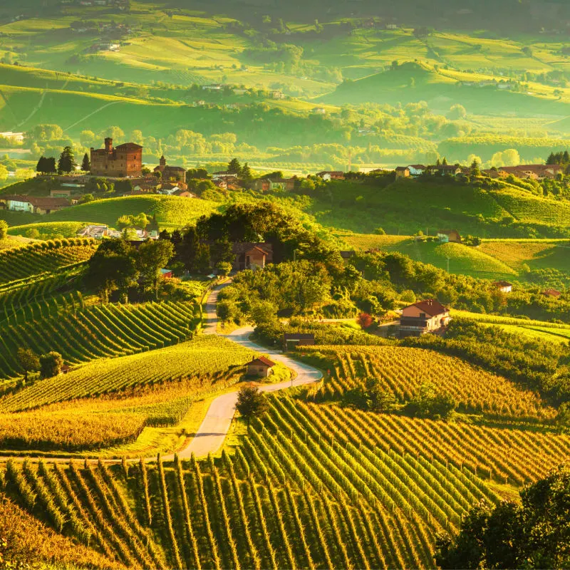 Langhe vineyards sunset panorama, Grinzane Cavour, Unesco Site, Piedmont, Northern Italy Europe.