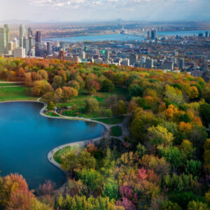 The city of Montreal as seen from a park