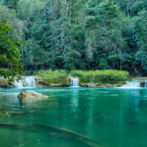 Rainforest landscape with river and small waterfalls in Belize
