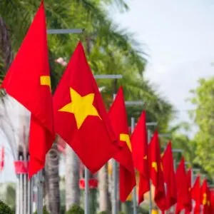 Row Of Vietnamese Flags, Vietnam, Southeast Asia