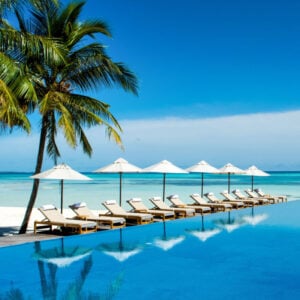a row of beach loungers sit by a pool shaded by a palm tree