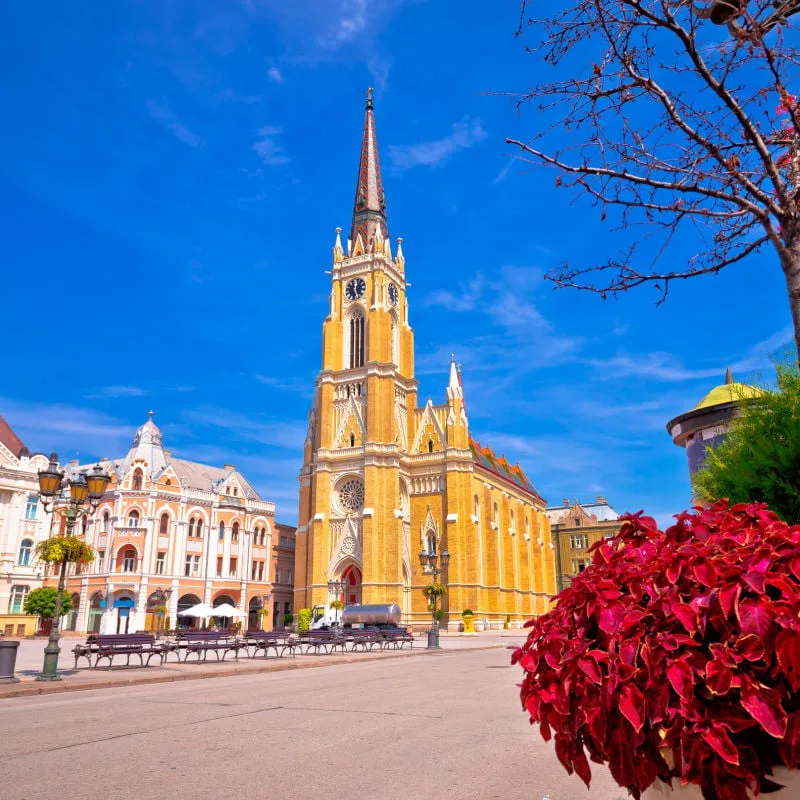 Freedom square and catholic cathedral in Novi Sad view, Vojvodina region of Serbia