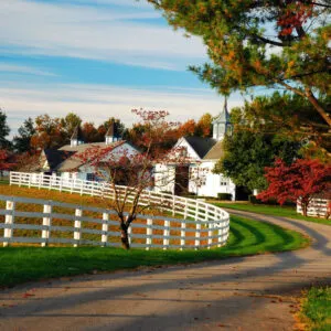 Lexington, KY, USA. A meandering country road traverses a fall landscape in Kentucky's Blue Grass region near Lexington