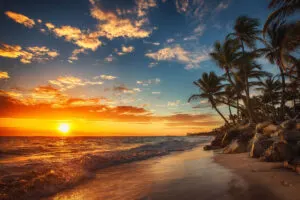 The free high-resolution photo of punta, cana, sunrise, beach, dominican, travel, tree, island, coast, tropical, cloud, sand, panoramic, summer, sun, paradise, caribbean, blue, tropic, seascape, sky,