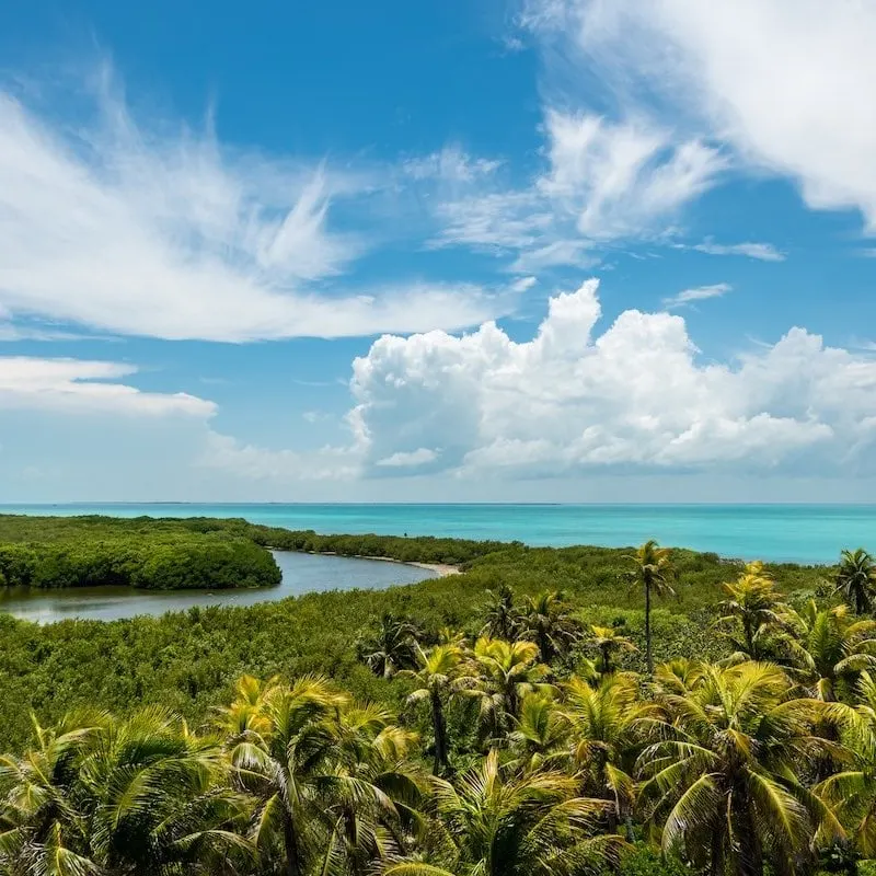 Top view of Contoy island in the Caribbean sea