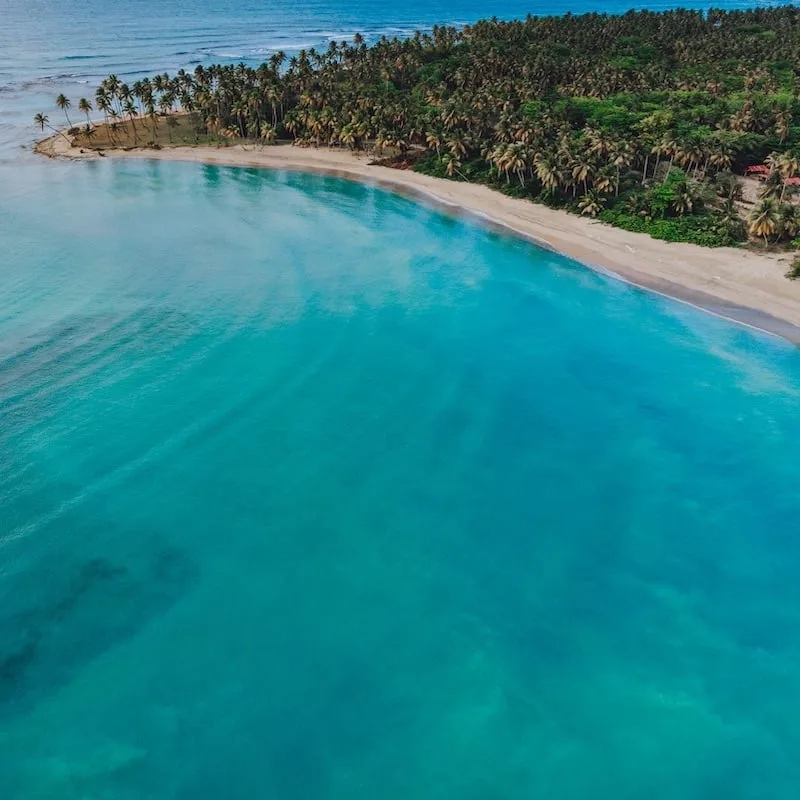 Aerial,Drone,View,Of,Paradise,Beach,With,Palm,Trees,And