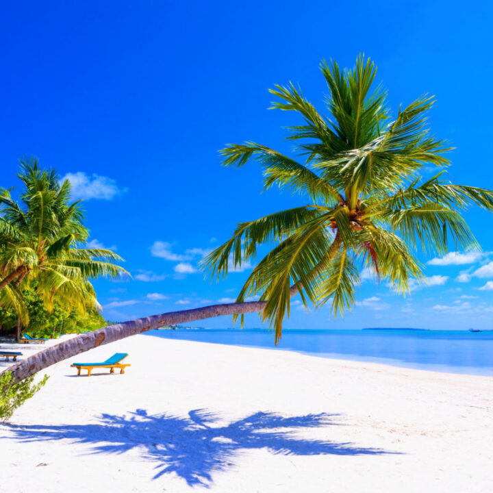 These Are 6 Of The World’s Top Beaches To Add To Your Bucket List For ...