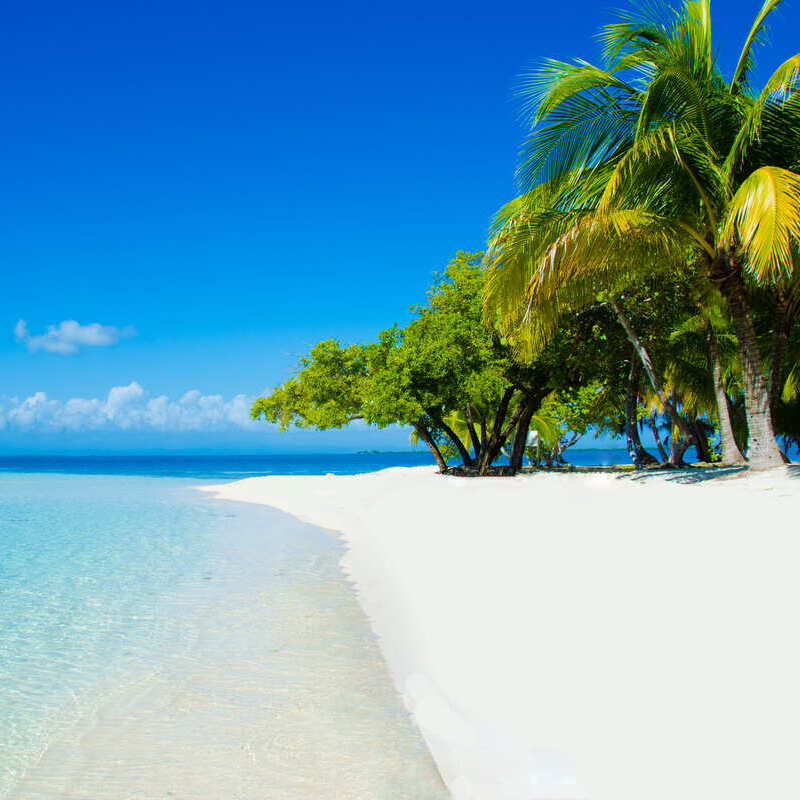 A white sand beach bordered by palm trees on the Caribbean coast of Belize, Central America