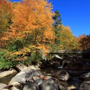 Autumn colorful foliage by the creek by the Chimney Tops Trail, Smoky Mountains