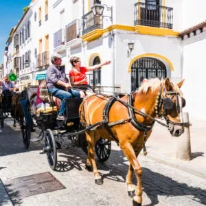 horse and carriage tour in cordoba spain