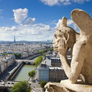 view of paris from notre dame cathedral