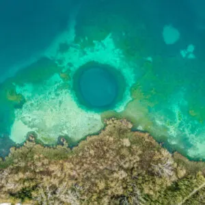 A blue hole near the shore in Andros Bahamas