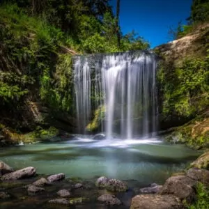 Oakley Creek Waterfall on a bright Summers Day, Auckland, New Zealand