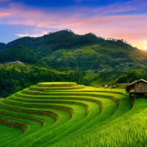 Beautiful Rice terraces at Mam xoi viewpoint in Mu cang chai, Vietnam.